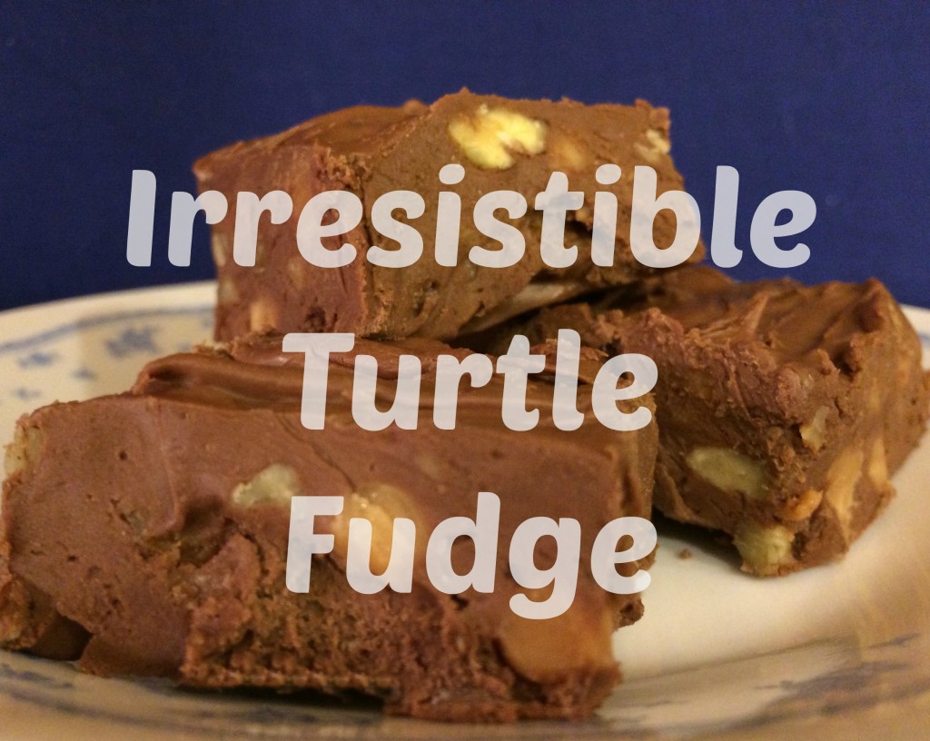 Irresistable Turtle Fudge