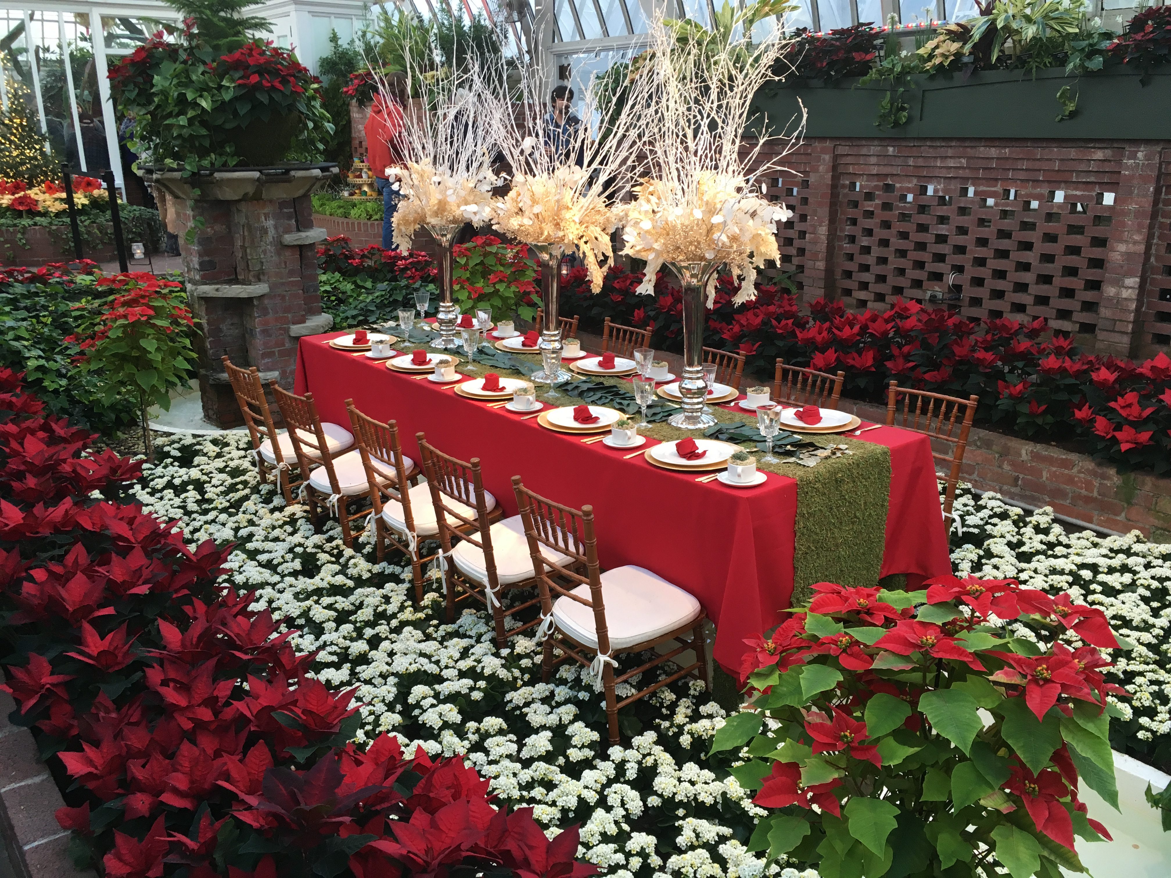 PHipps Conservatory - Table 2