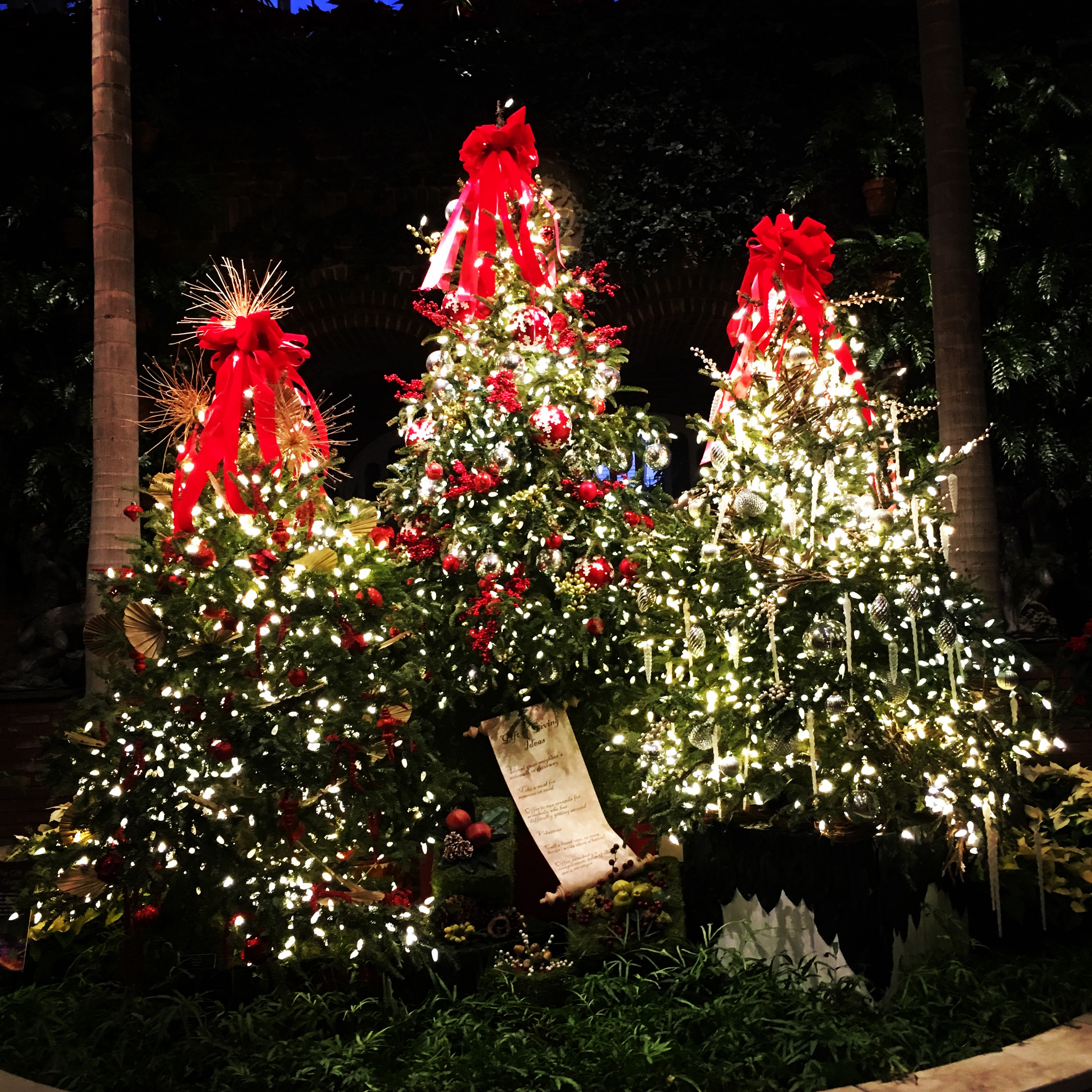 PHipps Conservatory - 3 Trees