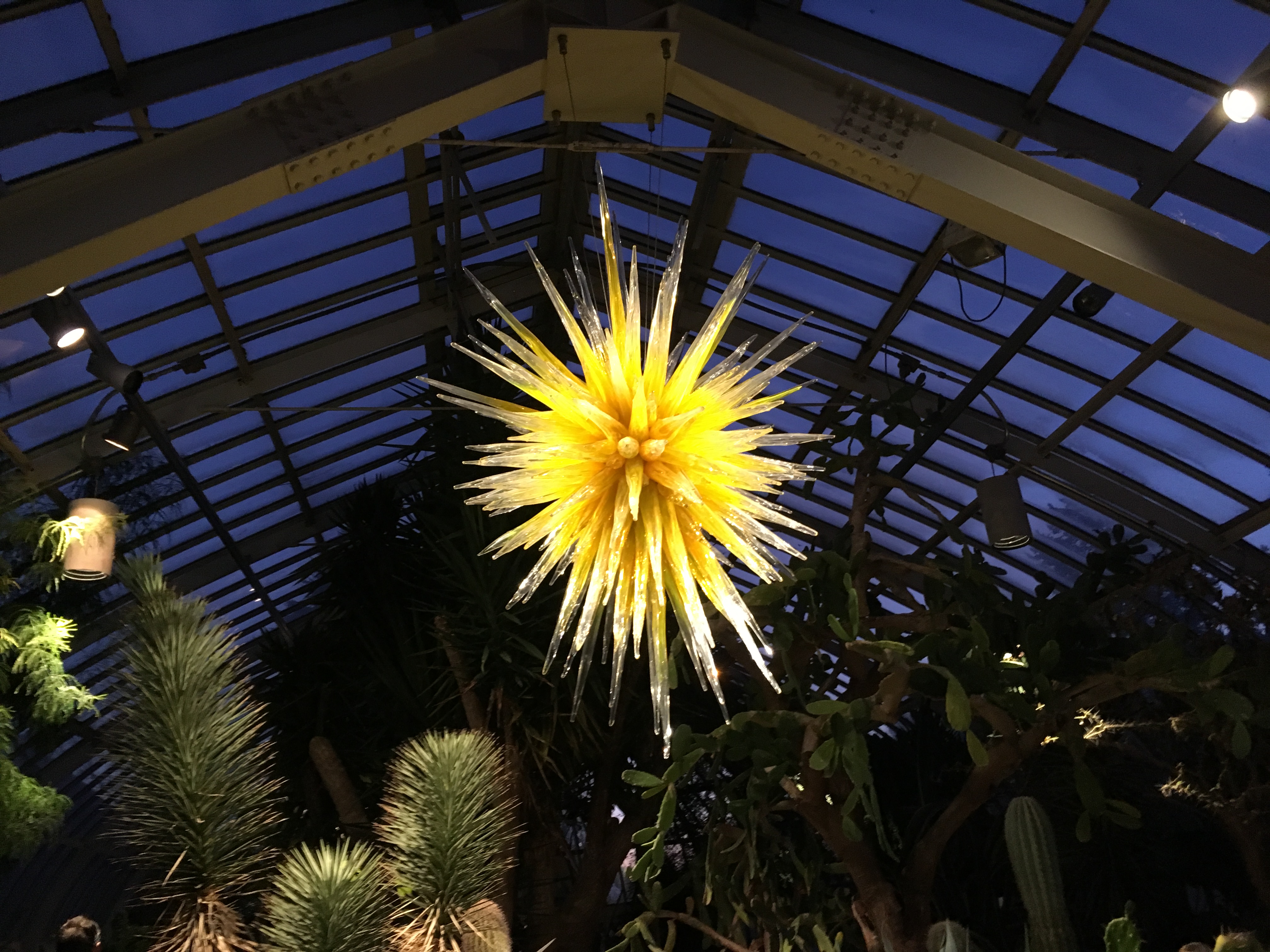 Phipps Conservatory - After Dark