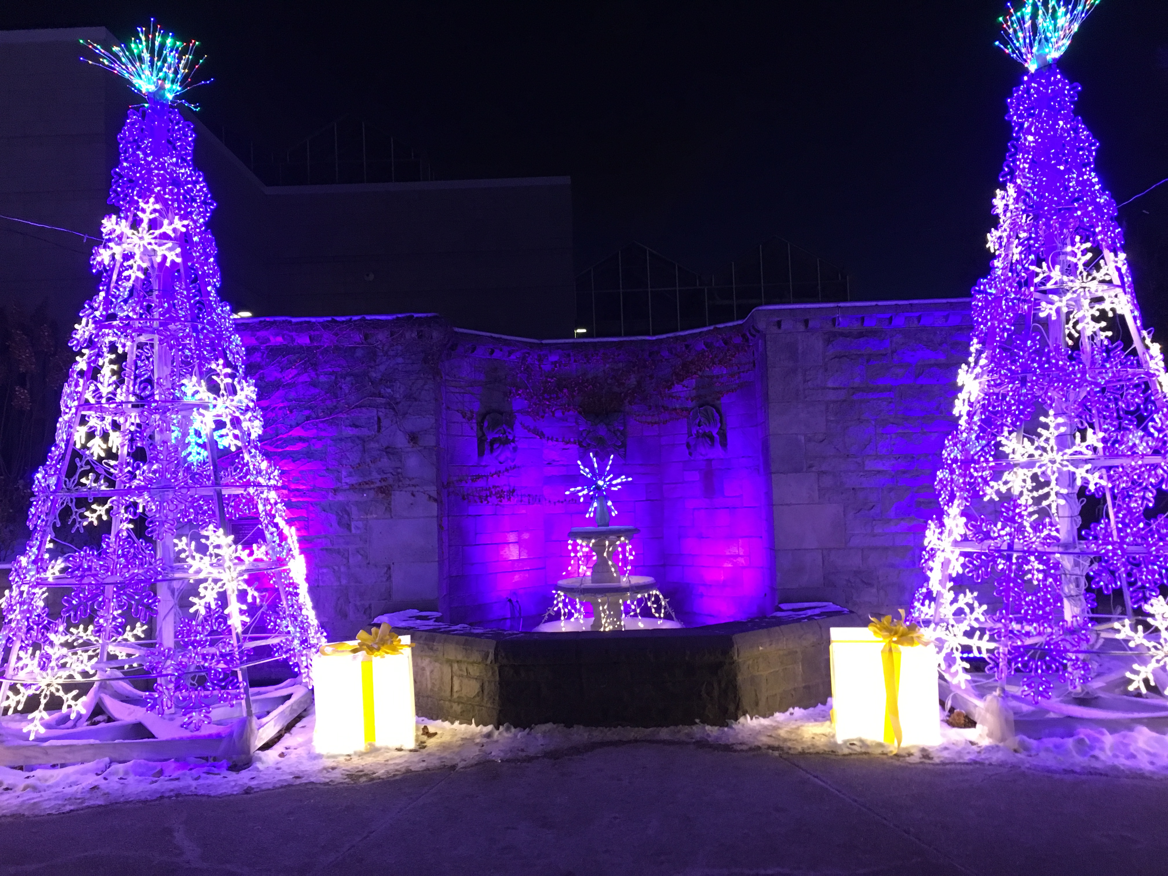 Phipps Conservatory 2018