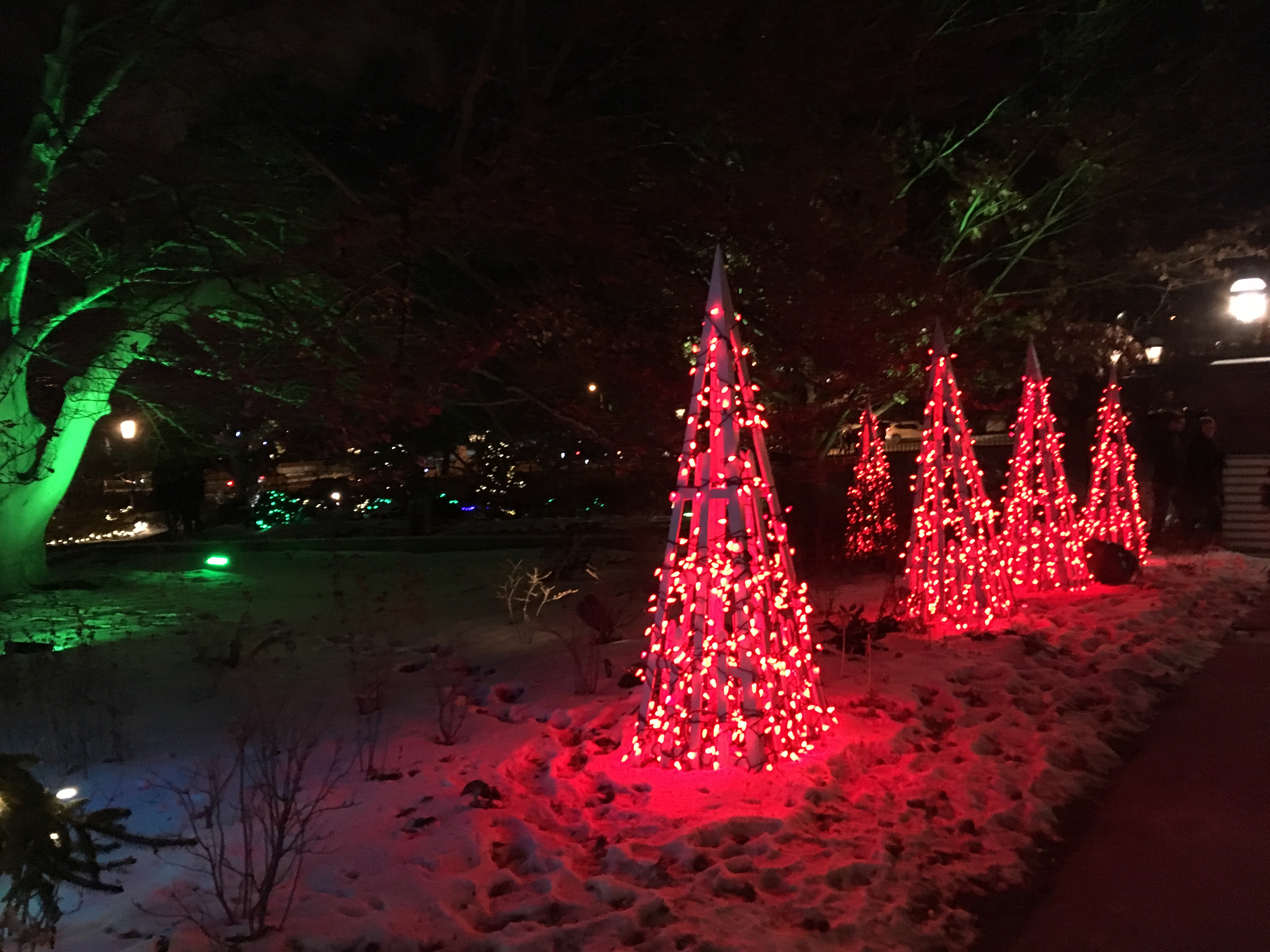 PHipps Conservatory 2018