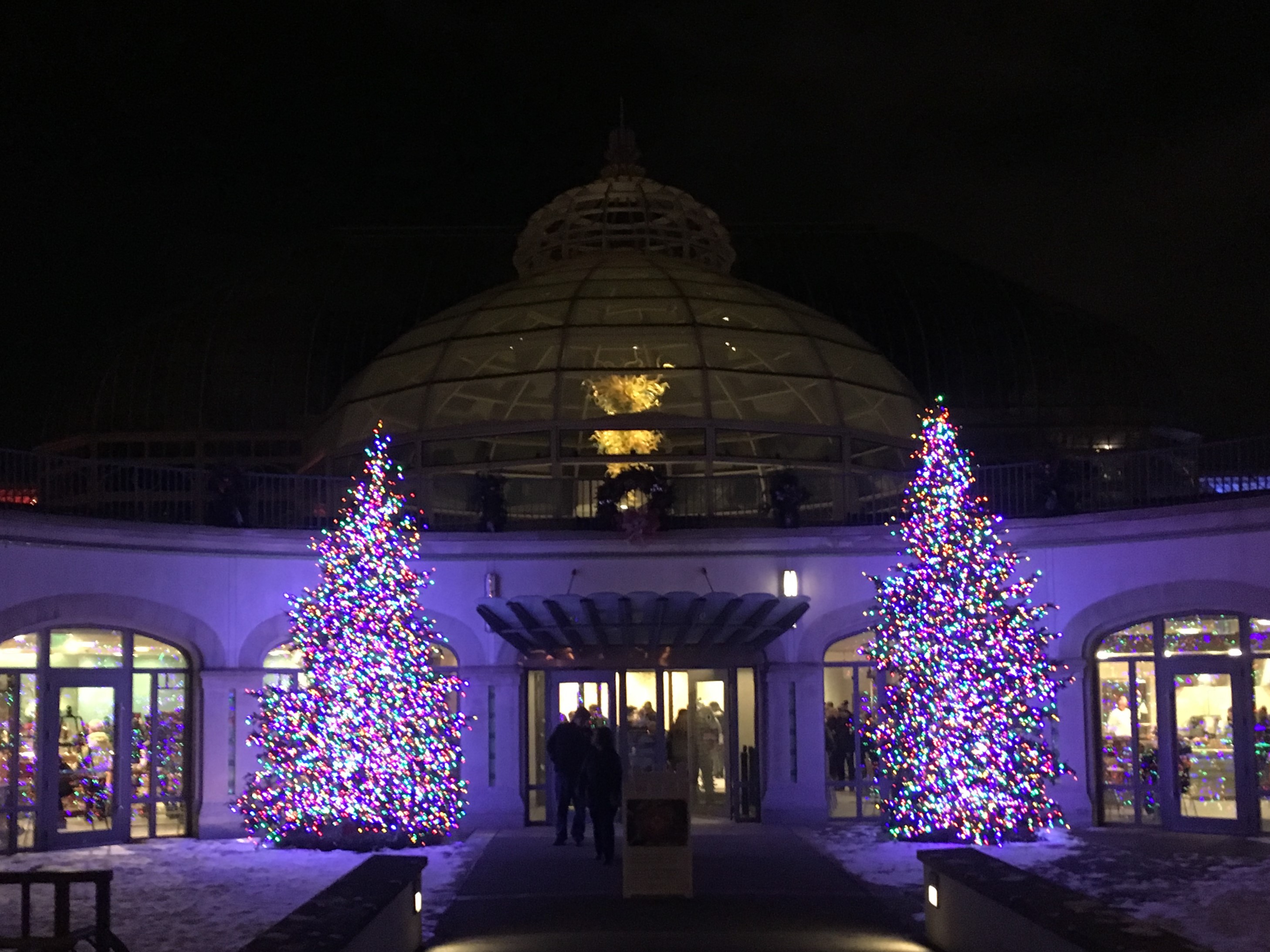 Phipps Conservatory Christmas 2024 Ilysa Zulema