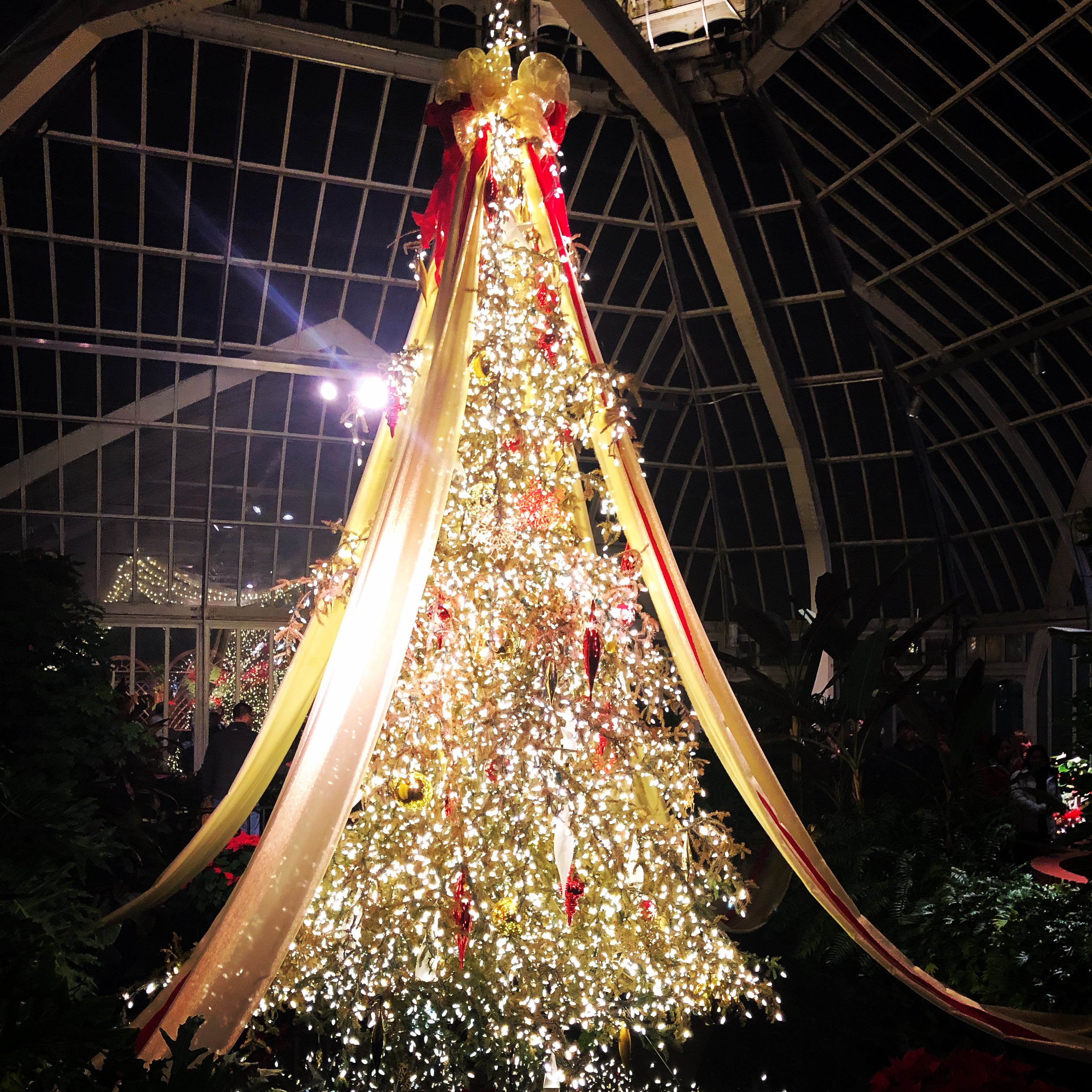 Phipps Holiday Magic: Let it Glow! Tree