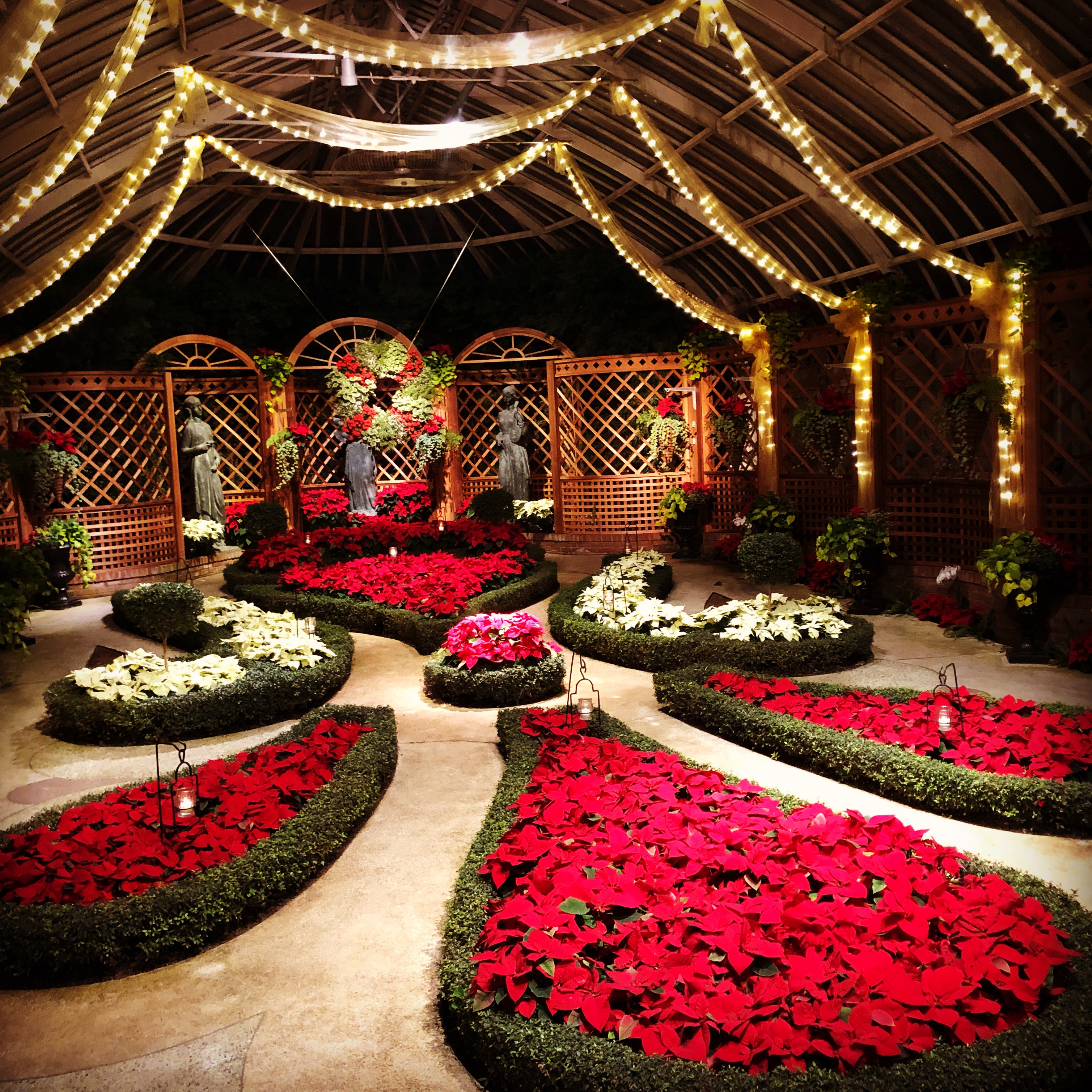 Phipps Holiday Magic:Let it Glow! Themed Room
