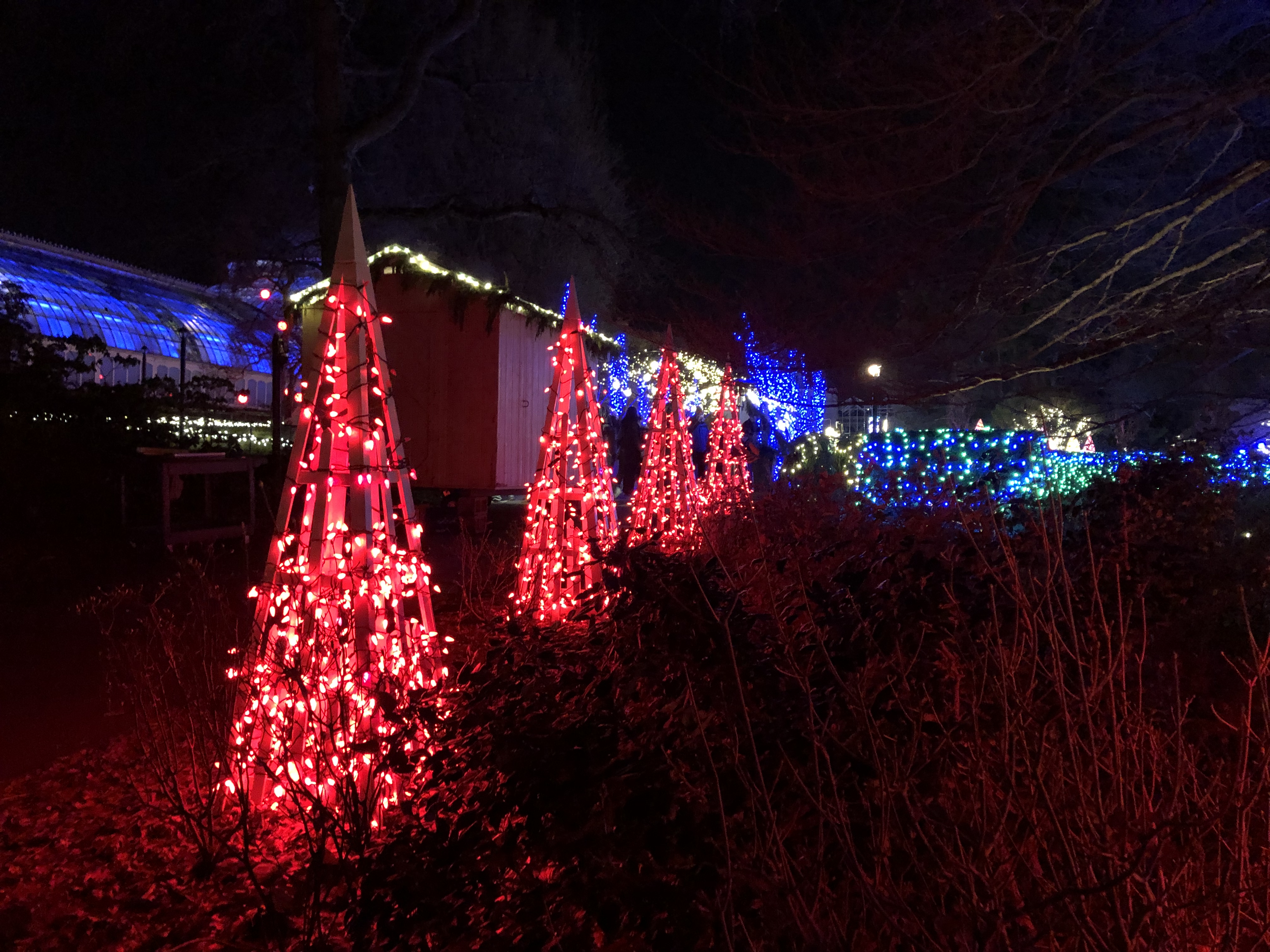 Phipps Holiday Magic: Let it Glow! Outdoor trees