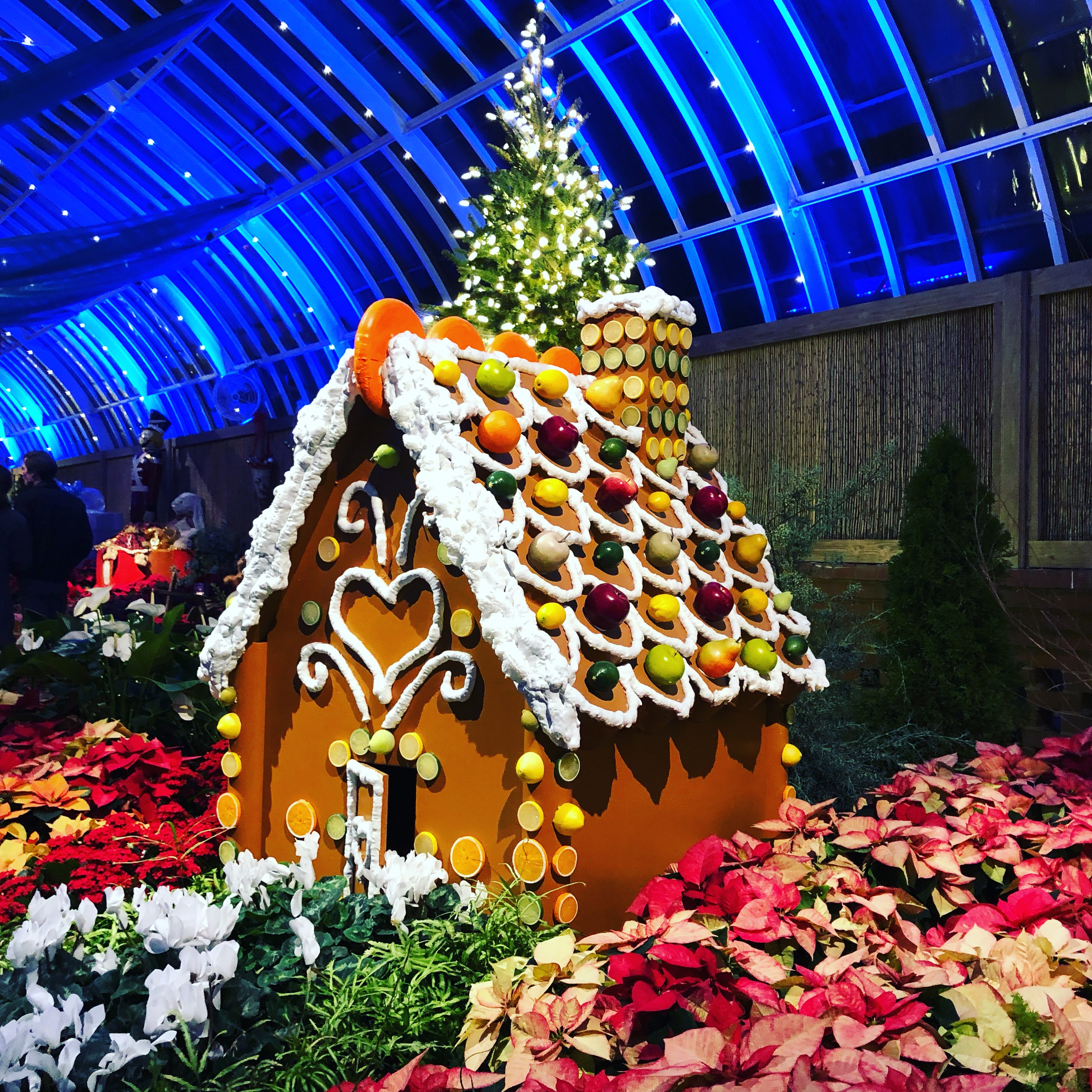 Phipps Holiday Magic:Let it Glow! Gingerbread house