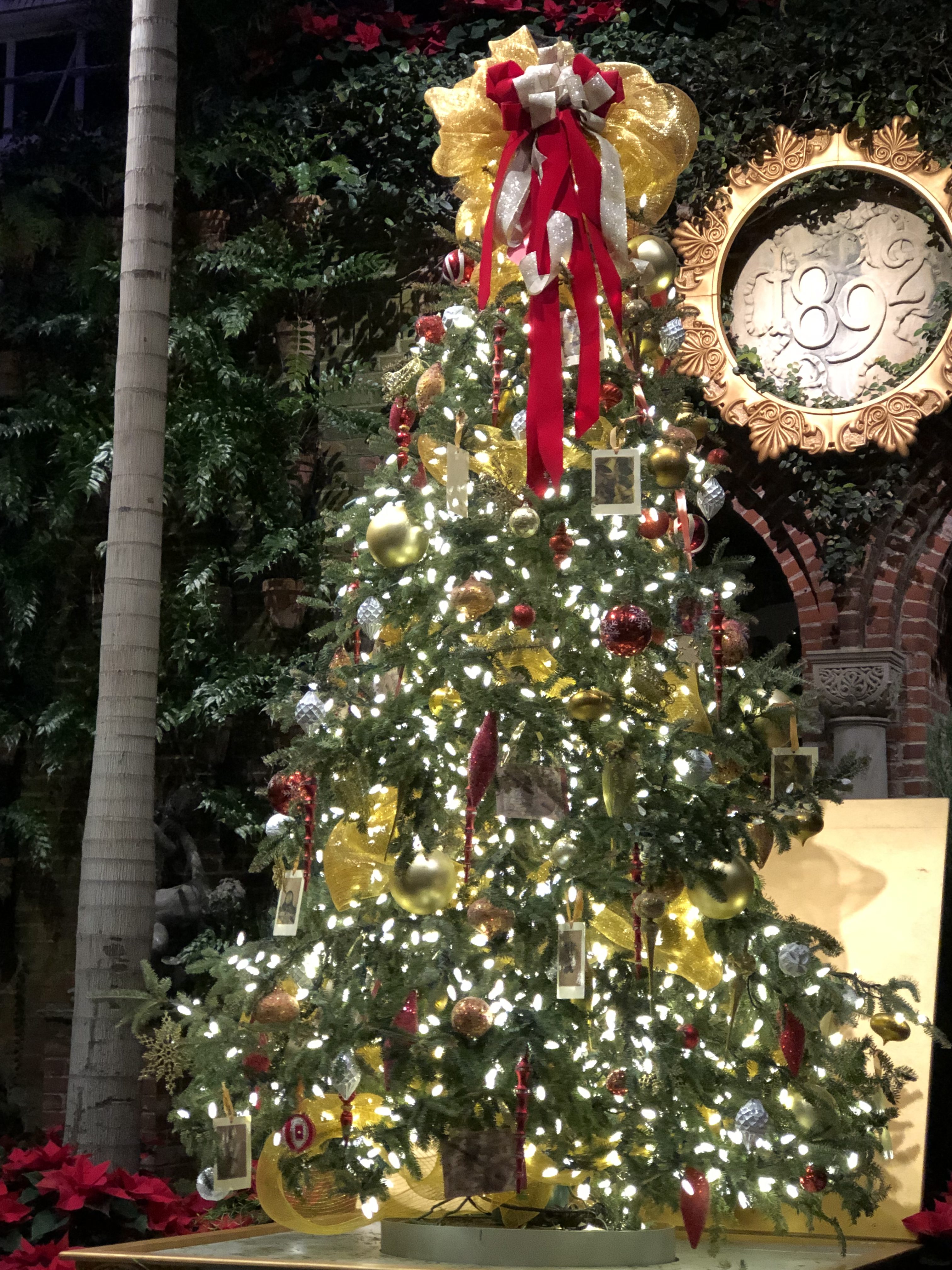 Phipps Holiday Magic: Let it Glow!